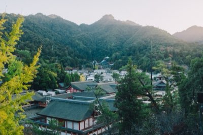 19 millions d'habitants : la densité humaine au service du Japon