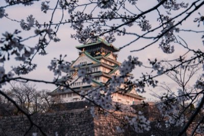 Le Château d'Osaka : Témoignage vivant de la métamorphose du