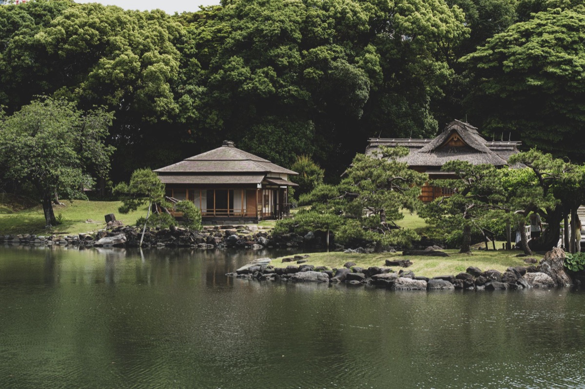 Un jardín tradicional japonés cerca de una casa de té