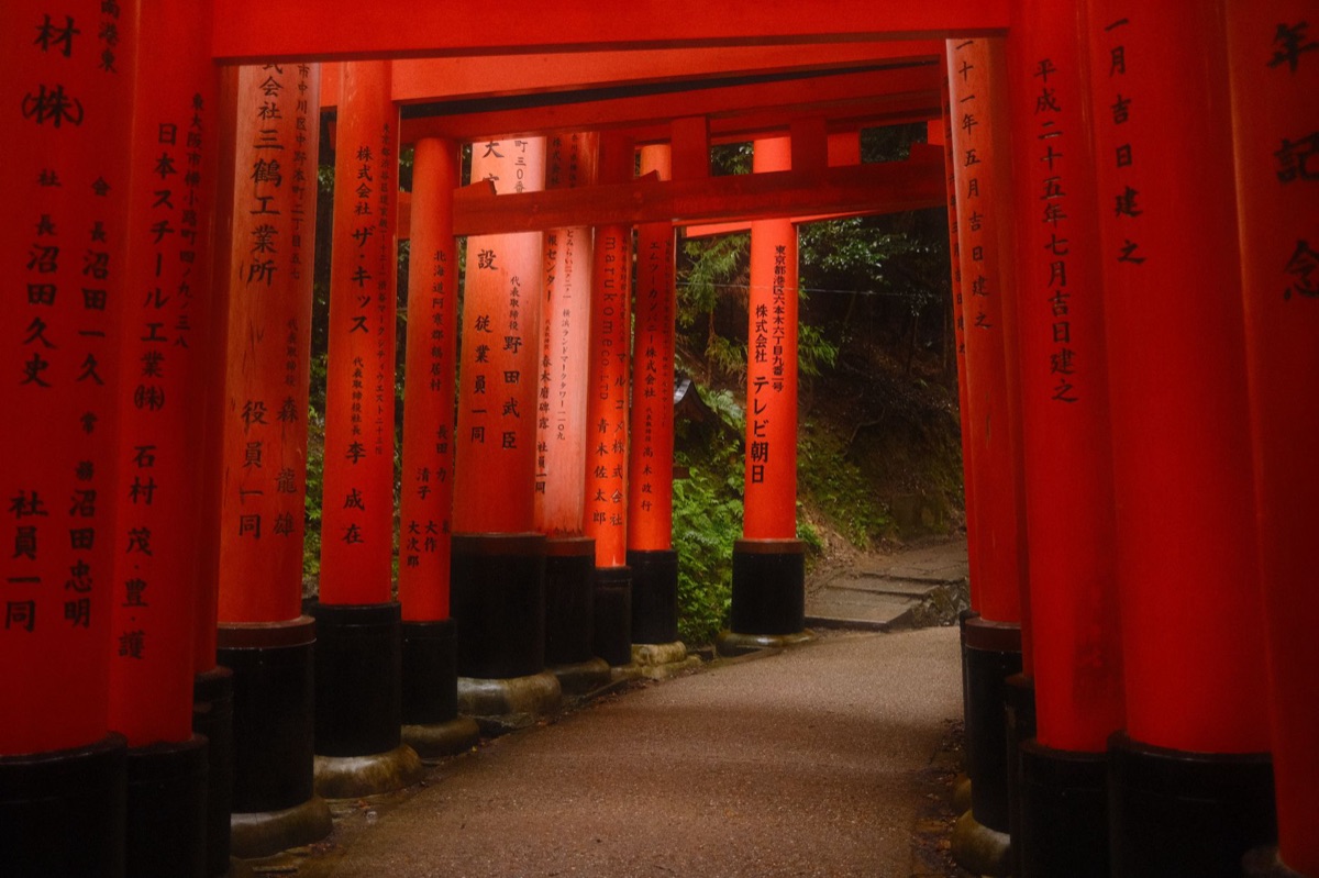 Sentiero del cancello Torii di Kyoto