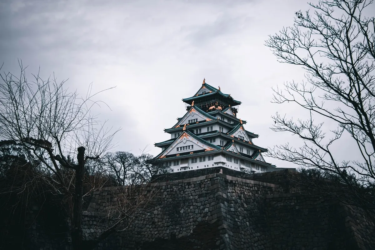trees, osaka castle, osaka, japan, sky, ancient, nature, vicissitudes
